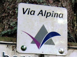 Via Alpina Wegweiser